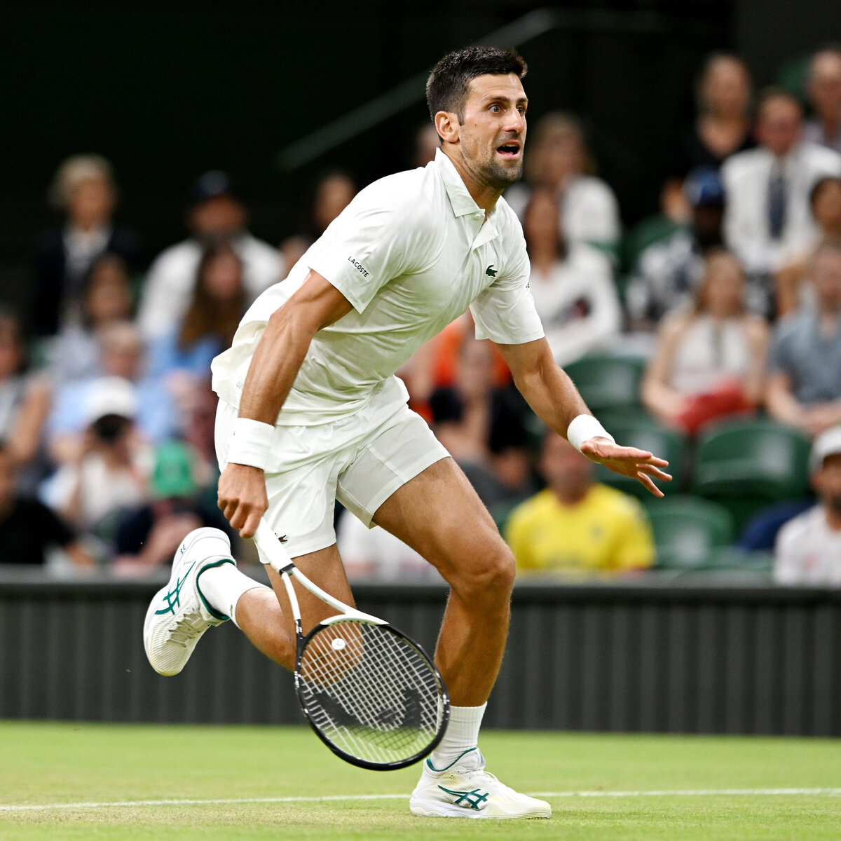 Djokovic bate Sinner e fará final de Wimbledon com Alcaraz, que supera  Medvedev na outra semi - Estadão