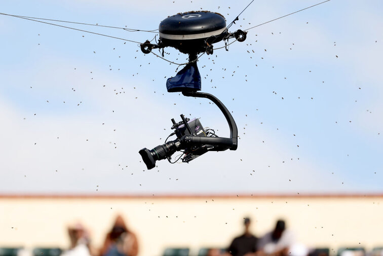 Ein Bienenvolk sorgte in Indian Wells für eine lange Unterbrechung.